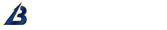 Big Bee Logo